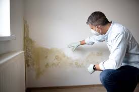 Best Basement Mold Removal  in Lindale, GA